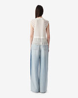 POLLY image number null