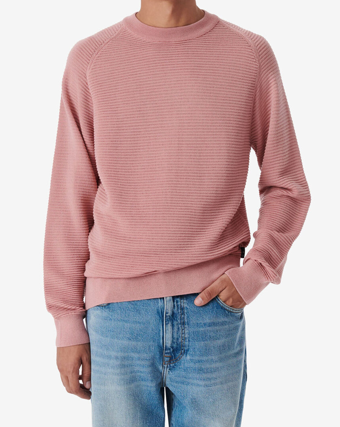 ROLLIN image number null