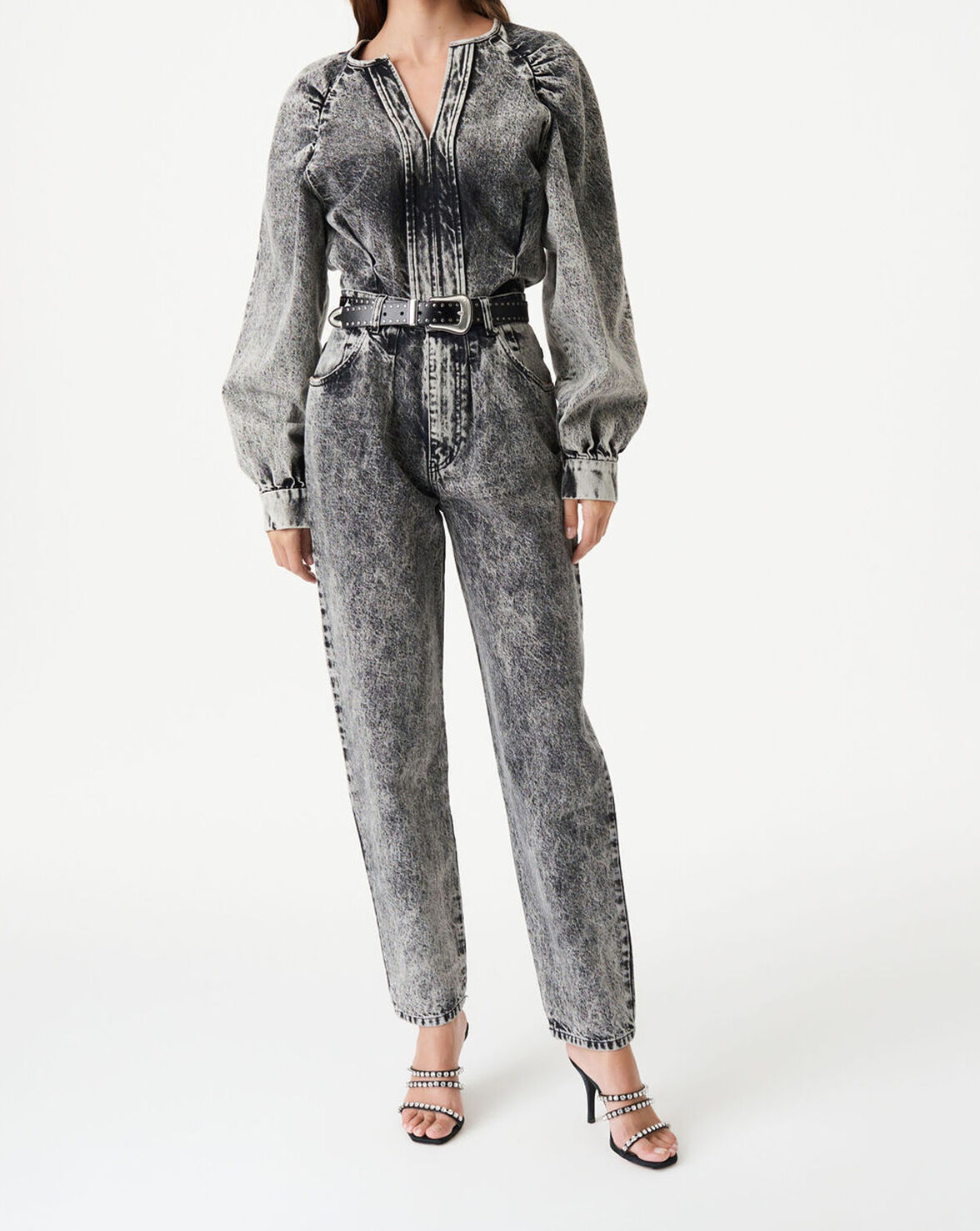 COLLIE image number null