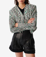 AGNESE image number null