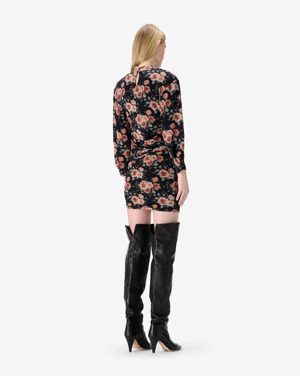 LORYA image number null