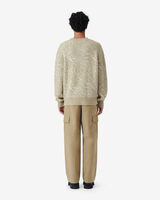 GUESSI image number null