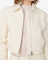 DELLIA image number null