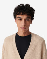 BRICE image number null