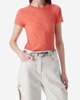 ELONIA image number null