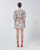 CARLINA image number null