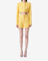 SALIE image number null