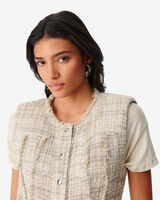 DILEA image number null