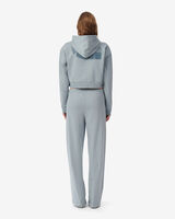 APOLLO image number null