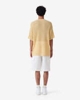 ASMAE image number null