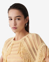 PAULIN image number null