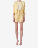 ZAMIA image number null