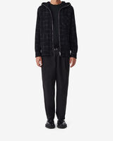 DIONIS image number null