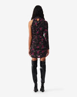 FABIOLA image number null
