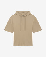 GOMINI image number null