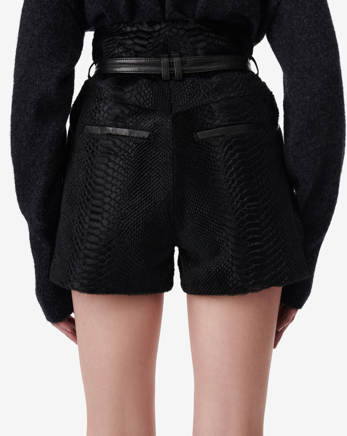 PALEA image number null