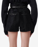 PALEA image number null