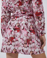 CEDARI image number null