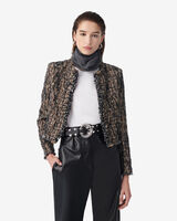 CARLIA image number null
