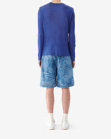 THIARO image number null