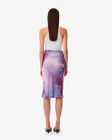LEONIDE image number null