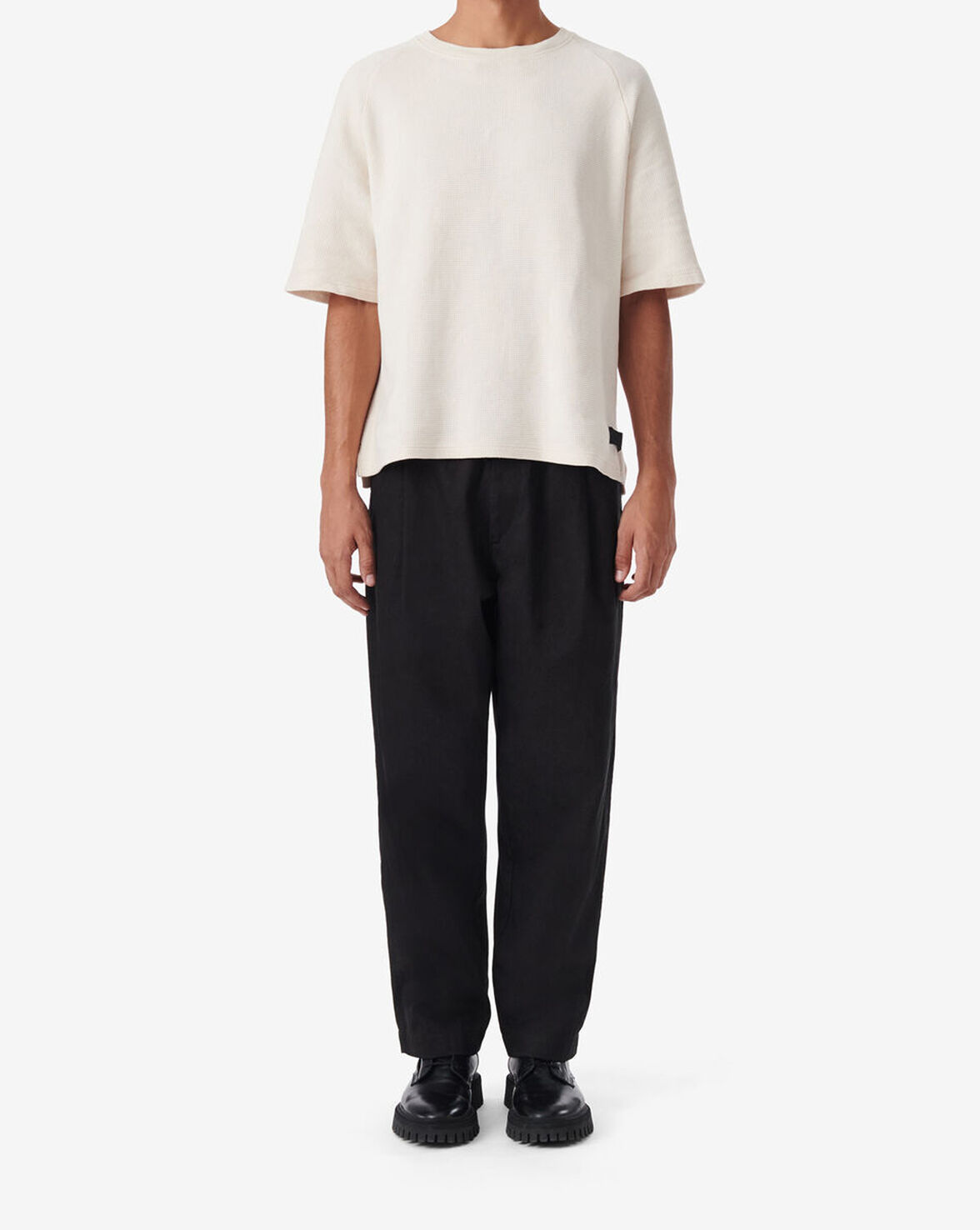 KALISTO image number null