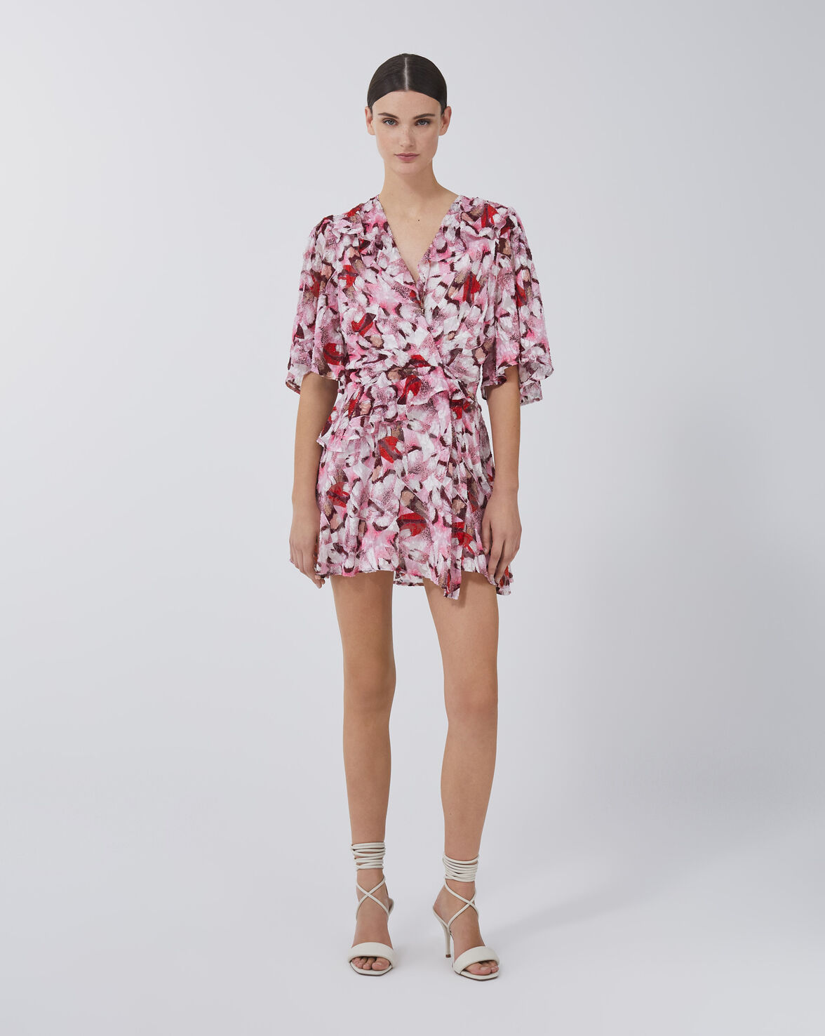 CARLINA image number null