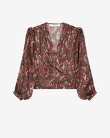 ZARFI image number null