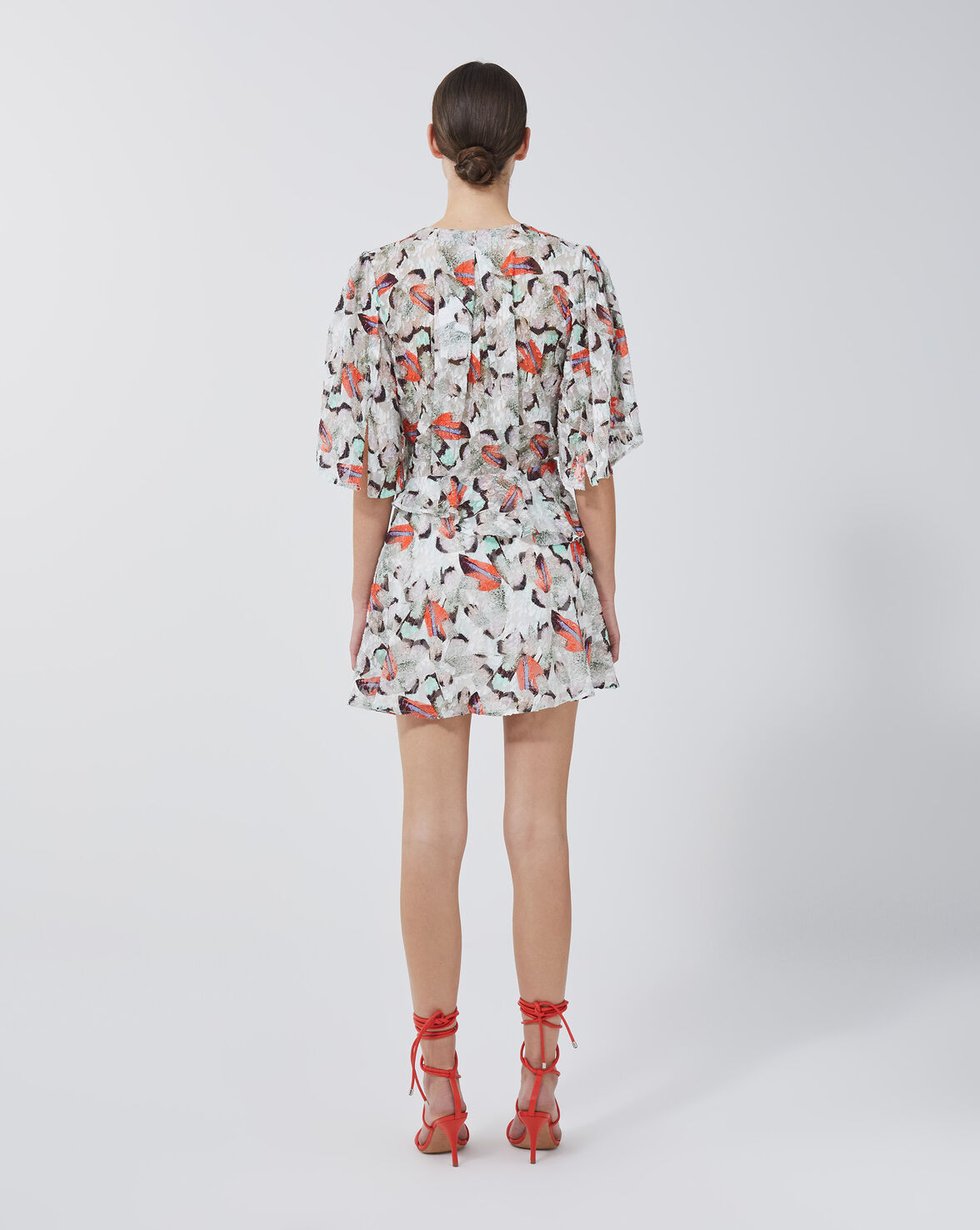 CARLINA image number null