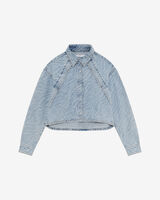 ESLEM image number null