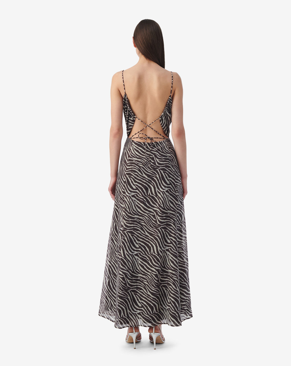 FELISSE1 image number null