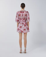 CARLINA image number null