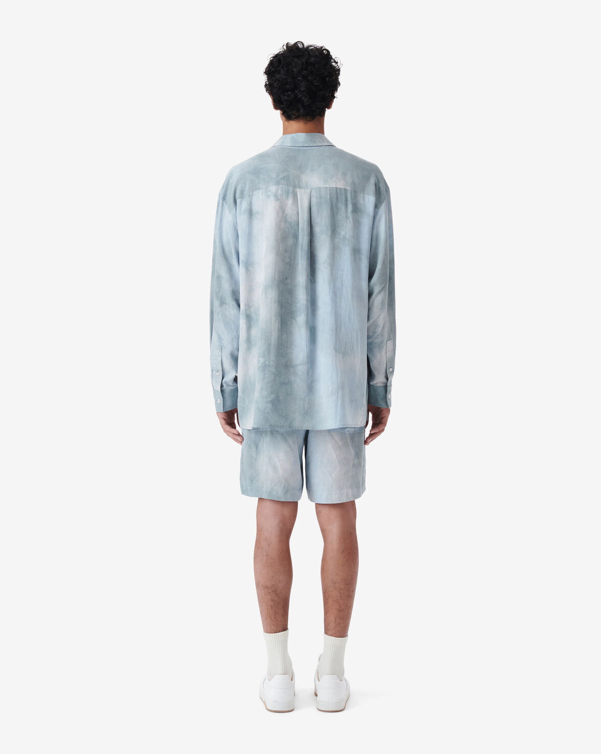 NARCISSE image number null