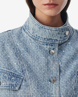 DEPSIE image number null