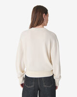 LAVINA image number null