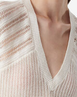 POLLY image number null