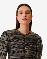 DARLIA image number null