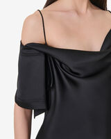 THIANA image number null