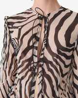 TRECY image number null