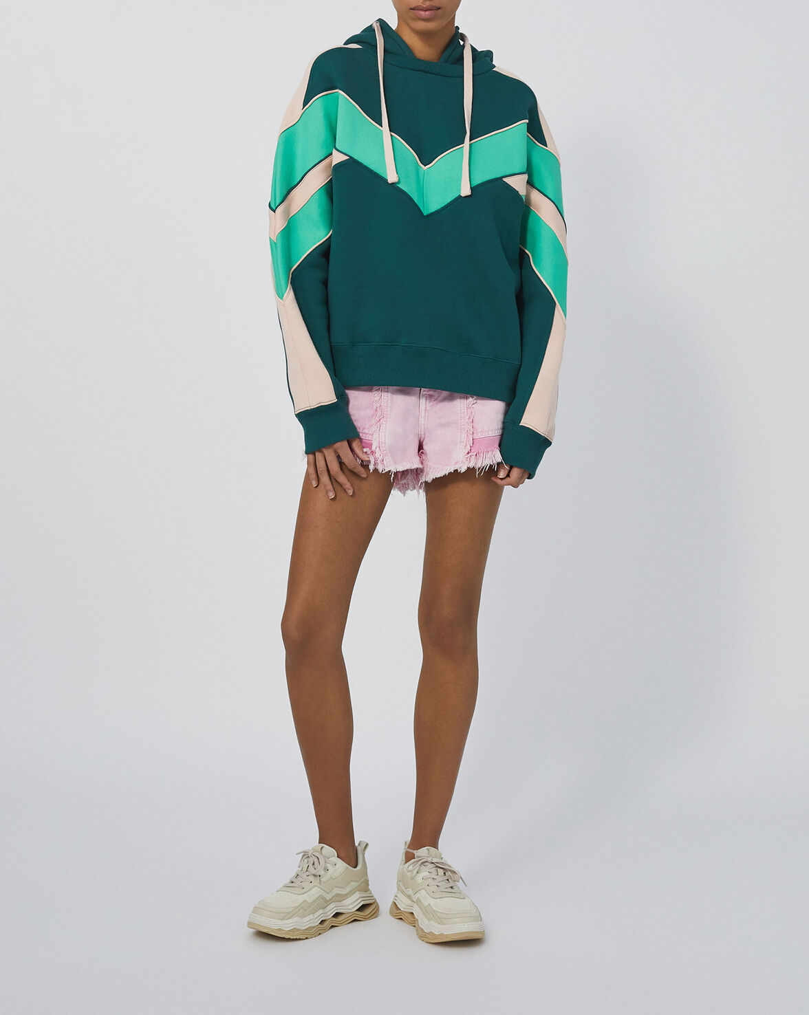 CHALIPA image number null