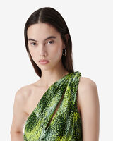 INASSA image number null