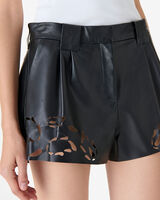 VALVIDIA image number null