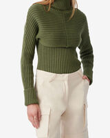 ASSINA image number null