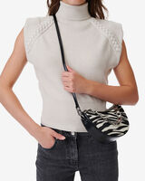 ARC BB ZEBRA image number null