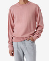 CORISPE image number null