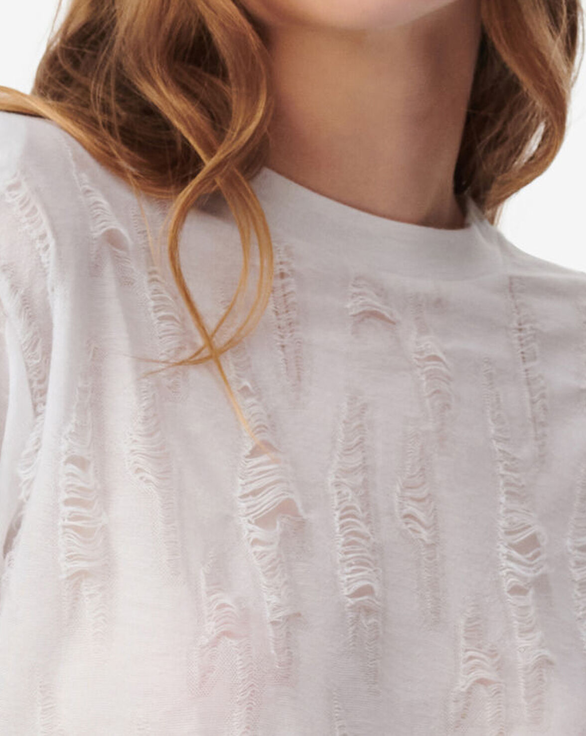 HISORE image number null