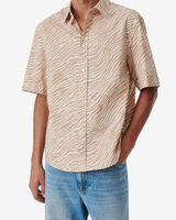 ZENO image number null