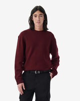 DARYLL image number null