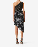 CARTINA image number null