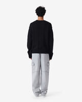 ANTONE image number null